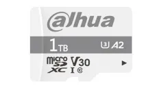 Dahua DHI-TF-P100/1TB