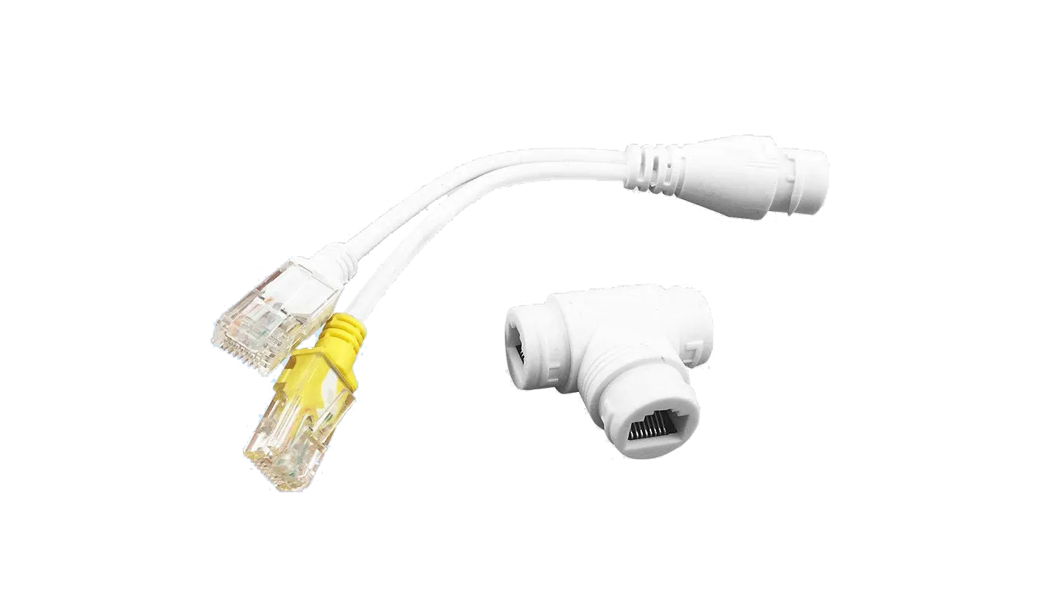RVi RVi-1NY10-2FP