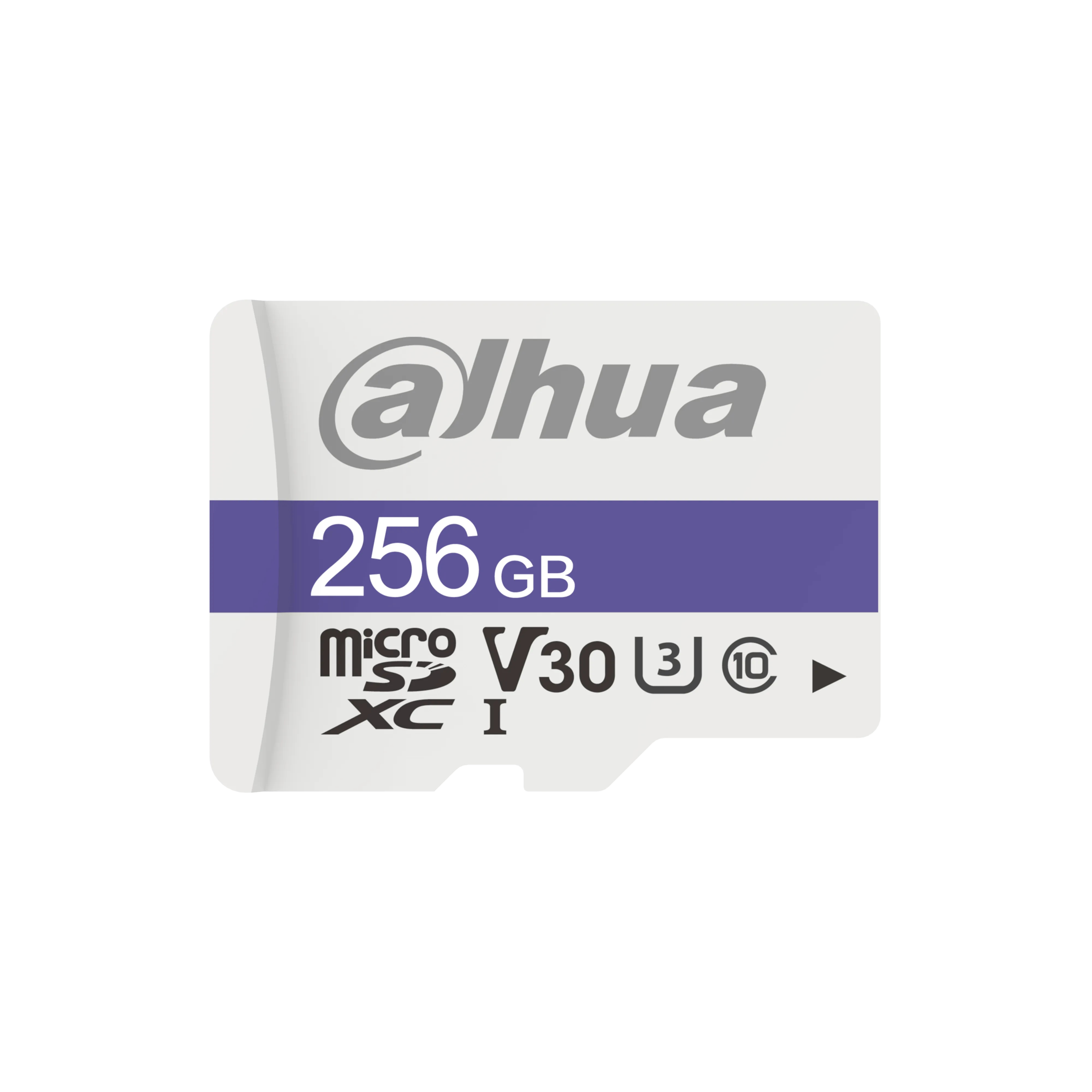Dahua DHI-TF-C100/256GB