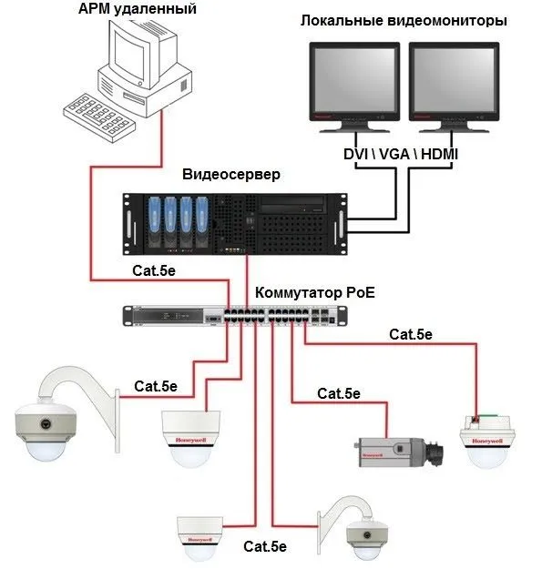 pic1.jpg