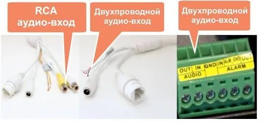 pic2.jpg