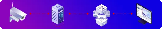 banner 2.png