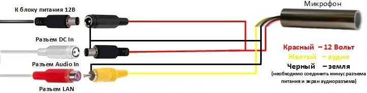 pic5.jpg
