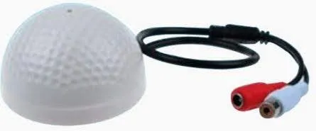 pic4.jpg