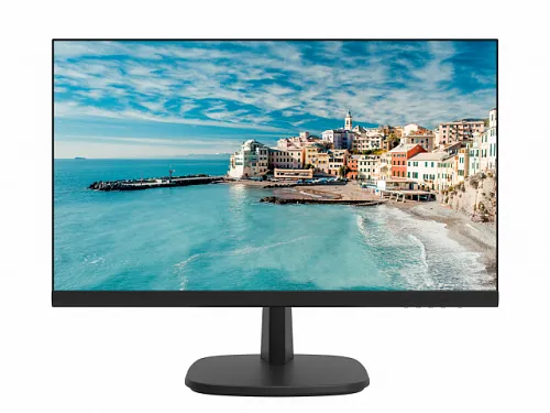 TFT-LED Монитор 215'' DS-D5022FN-C