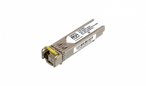 RVi RVi-2NSR21-BX20