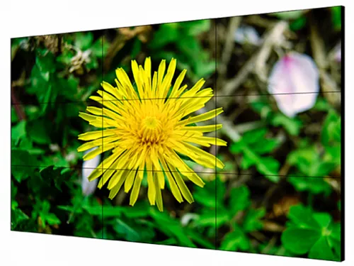 LCD-Экран 55'' DS-D2055LE-G