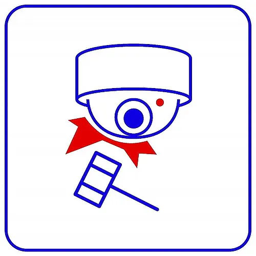 Программное обеспечение TRASSIR Sabotage Detector (!не продается — в подарок)