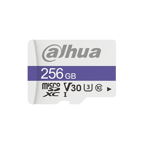 Dahua DHI-TF-C100/256GB