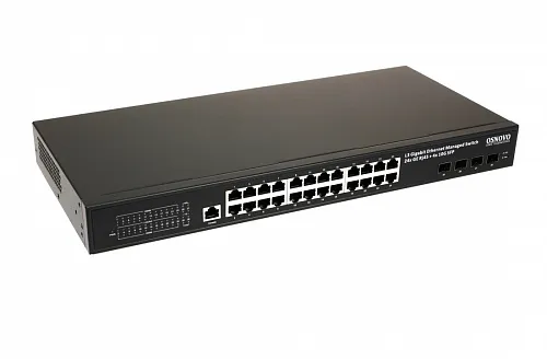 Управляемый L3 коммутатор SW-24G4X-2L